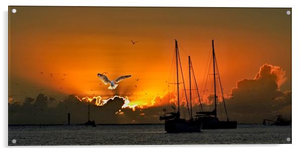 Seagull & Yacht Silhouette at Dawn. Acrylic by Geoff Childs