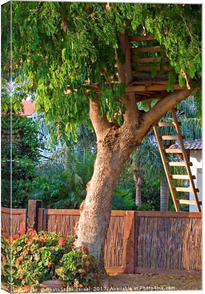 Tree house Canvas Print by PhotoStock Israel