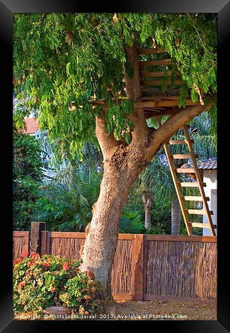 Tree house Framed Print by PhotoStock Israel