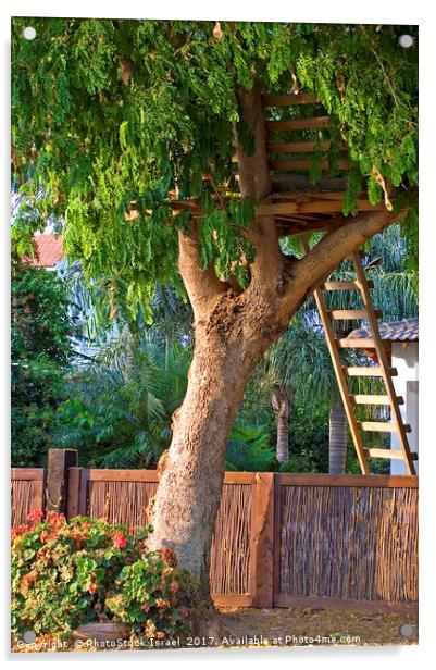 Tree house Acrylic by PhotoStock Israel