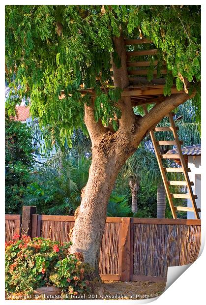 Tree house Print by PhotoStock Israel