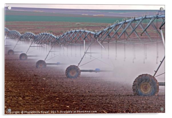 Field irrigation, Israel Acrylic by PhotoStock Israel