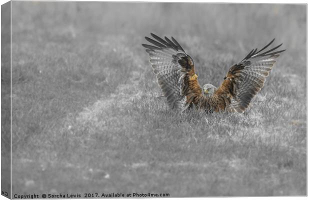 Red Kite Angel Canvas Print by Sorcha Lewis