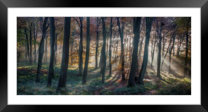 Autumn Morning Dawn Framed Mounted Print by Ceri Jones