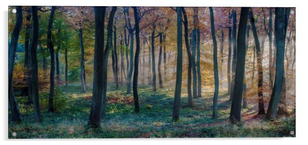 Forest Dawn Acrylic by Ceri Jones