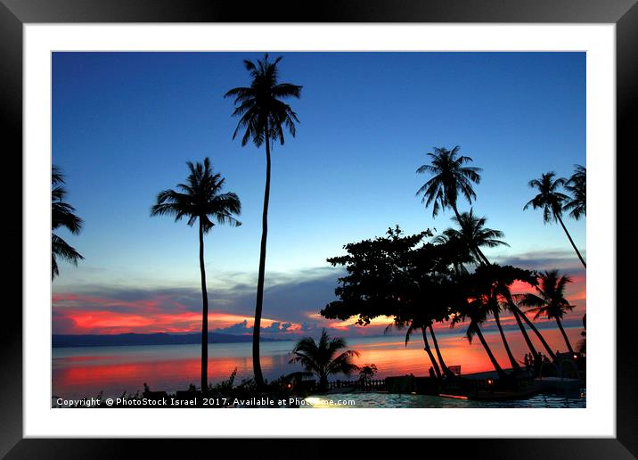 palm trees at sun set Koh Phangan Thailand Framed Mounted Print by PhotoStock Israel