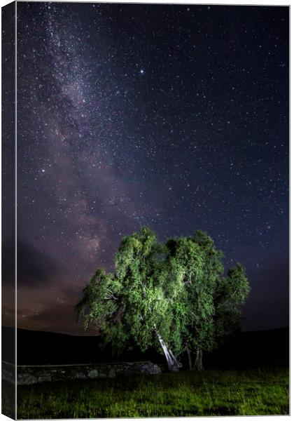 Elan Valley MilkyWay over Welsh Sheep Pens Canvas Print by Sorcha Lewis