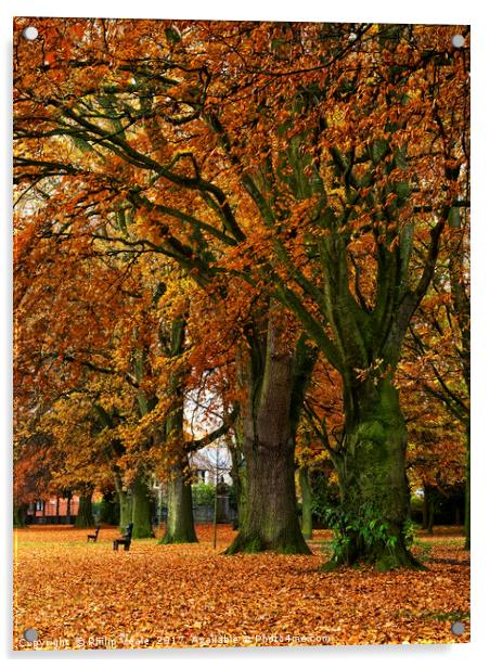 Bailey Park under Autumn's Golden Cloak. Acrylic by Philip Veale