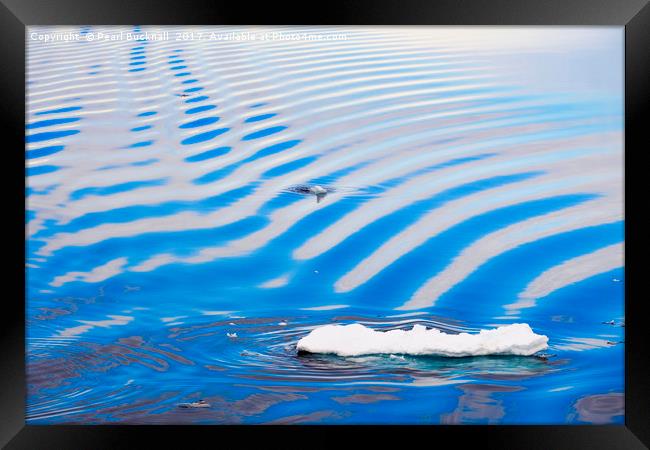 Ice in Sea Water Ripples off Arctic Svalbard Framed Print by Pearl Bucknall