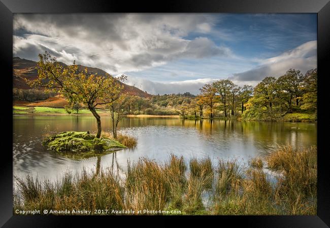 Autumn at Rydal Water Framed Print by AMANDA AINSLEY