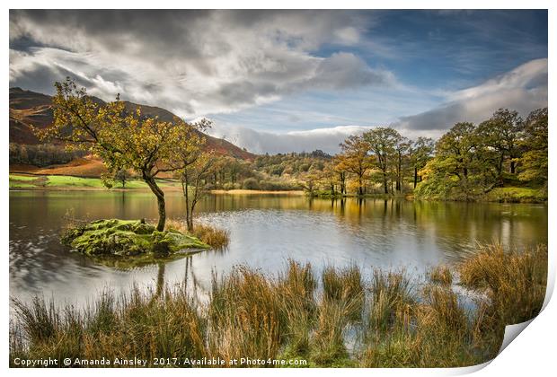Autumn at Rydal Water Print by AMANDA AINSLEY