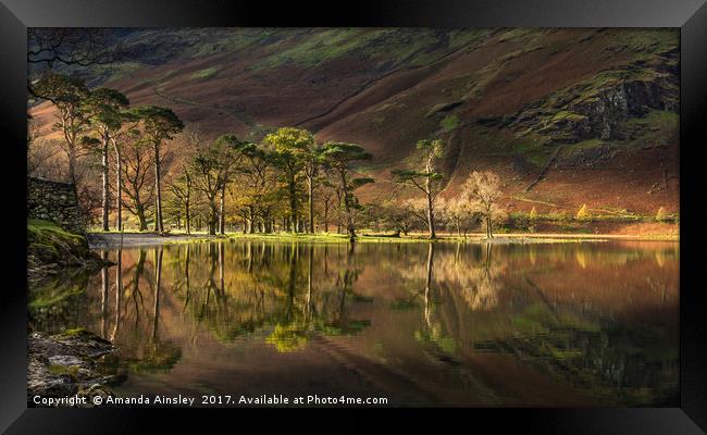 Sunrise at Buttermere Framed Print by AMANDA AINSLEY
