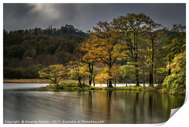 Rydal Water in Autumn Print by AMANDA AINSLEY
