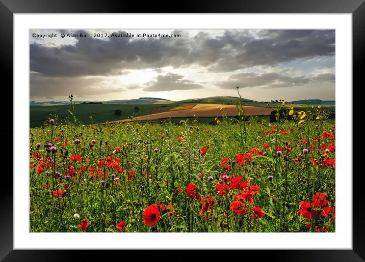 South Downs Sunrise Framed Mounted Print by Alan Barr