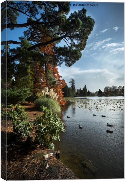 Sheffield Park Canvas Print by Kevin White