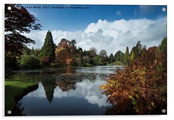 Autumn Colours Acrylic by Kevin White