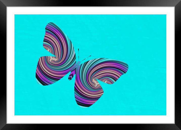 Life Is Like A Butterfly Framed Mounted Print by Steve Purnell