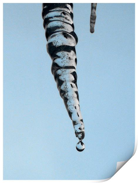 icicle Print by Heather Newton