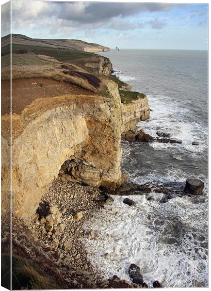 Dorset cliffs Canvas Print by Tony Bates