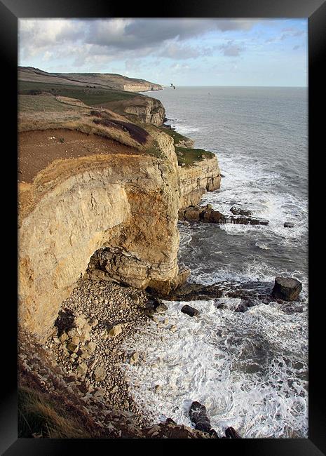 Dorset cliffs Framed Print by Tony Bates