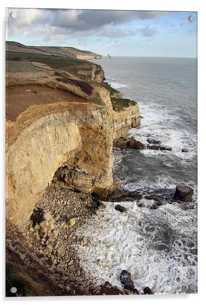 Dorset cliffs Acrylic by Tony Bates