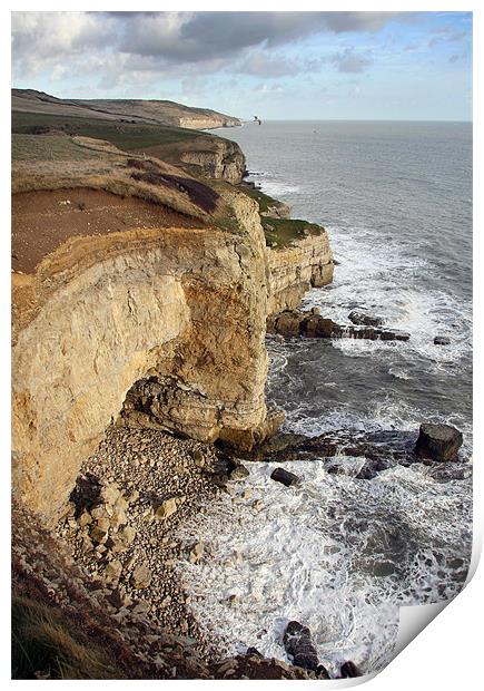 Dorset cliffs Print by Tony Bates