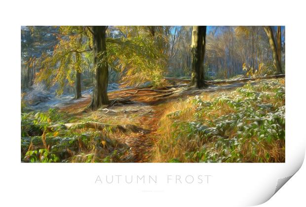 Autumn Frost Print by Andrew Roland