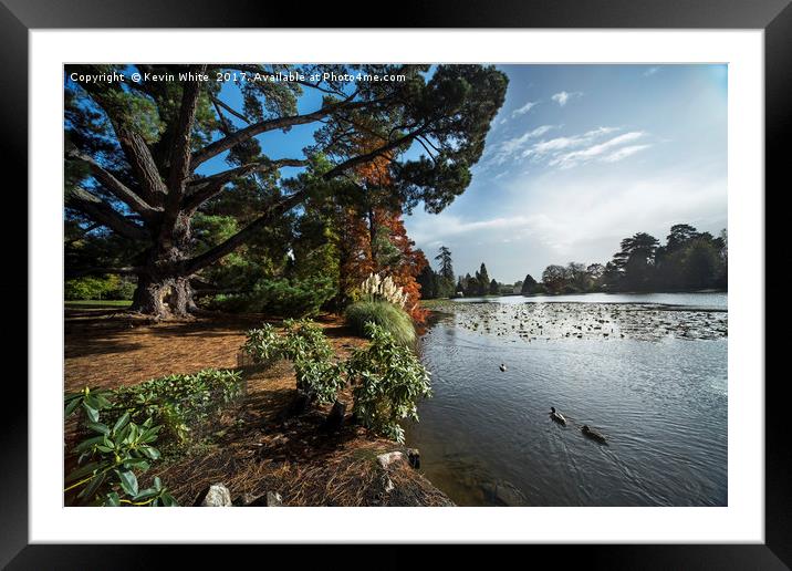 Sussex in Autumn Framed Mounted Print by Kevin White