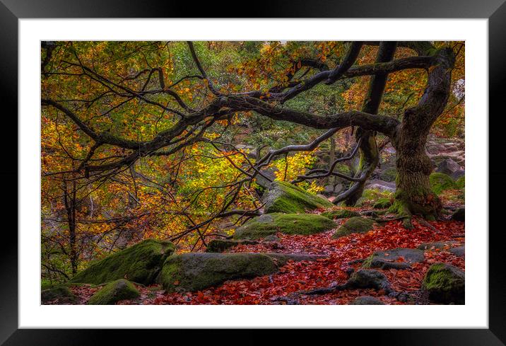 Autumn in the Gorge Framed Mounted Print by Paul Andrews