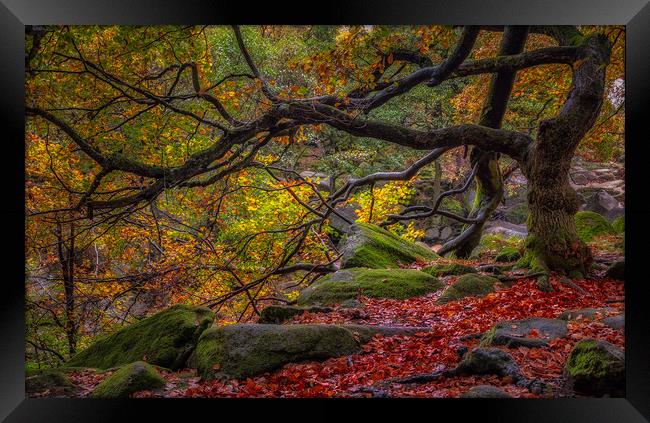 Autumn in the Gorge Framed Print by Paul Andrews