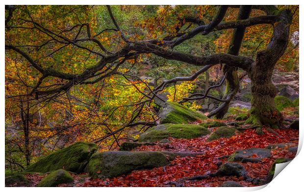 Autumn in the Gorge Print by Paul Andrews
