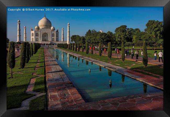 The Taj Mahal: Symbol of Undying Love Framed Print by Gilbert Hurree