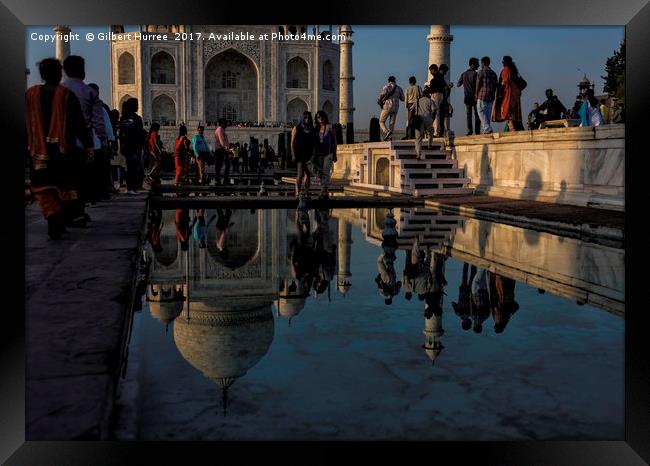 The Taj Mahal: Reflections of Eternal Love Framed Print by Gilbert Hurree