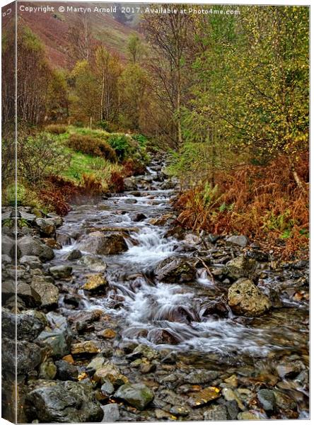 Helvellyn Gill in Autumn Canvas Print by Martyn Arnold