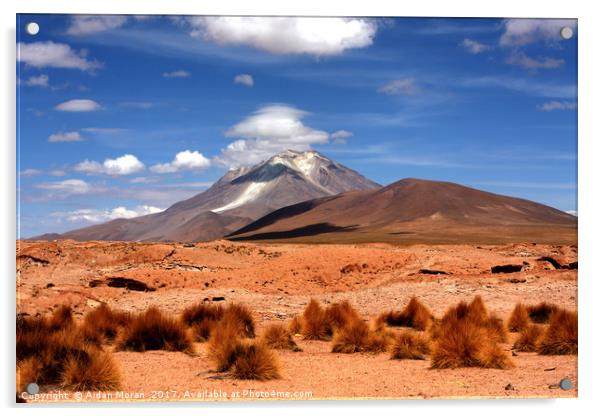 Andean Mountain Landscape  Acrylic by Aidan Moran