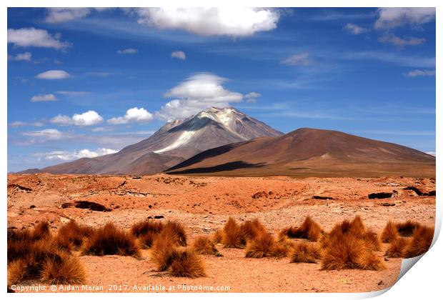 Andean Mountain Landscape  Print by Aidan Moran