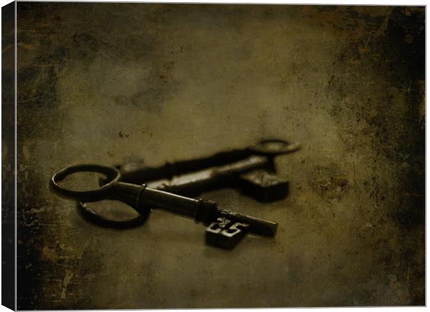 The old keys to the scary room... Canvas Print by K. Appleseed.