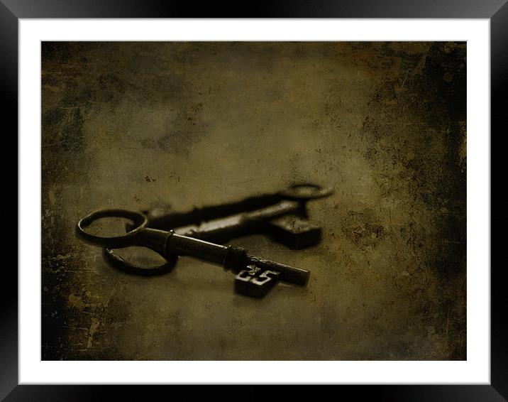 The old keys to the scary room... Framed Mounted Print by K. Appleseed.