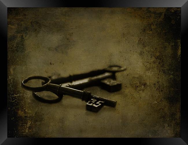 The old keys to the scary room... Framed Print by K. Appleseed.