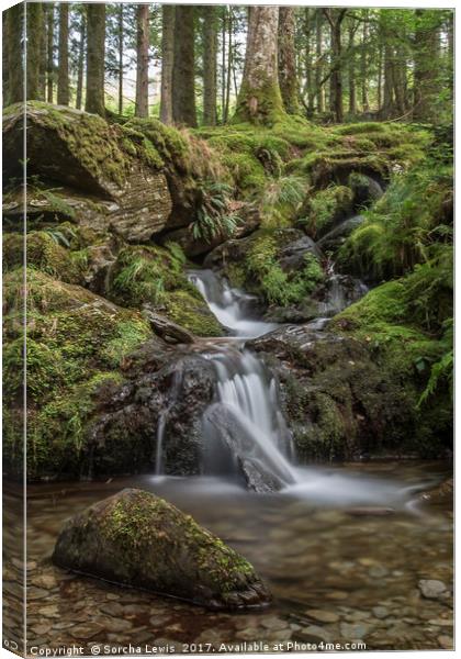Upland Woodland Stream and waterfall, Elan Valley Canvas Print by Sorcha Lewis