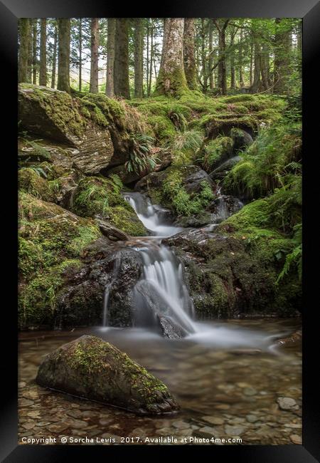Upland Woodland Stream and waterfall, Elan Valley Framed Print by Sorcha Lewis