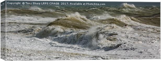 'STORM BRIAN' - 21 OCTOBER 2017 (HASTINGS COAST)  Canvas Print by Tony Sharp LRPS CPAGB