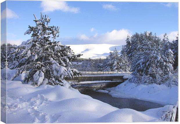 Cairngorm in Winter Canvas Print by Jacqi Elmslie