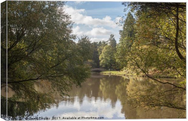 Early Autumn Reflections Canvas Print by David Tinsley