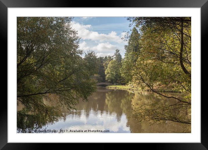 Early Autumn Reflections Framed Mounted Print by David Tinsley