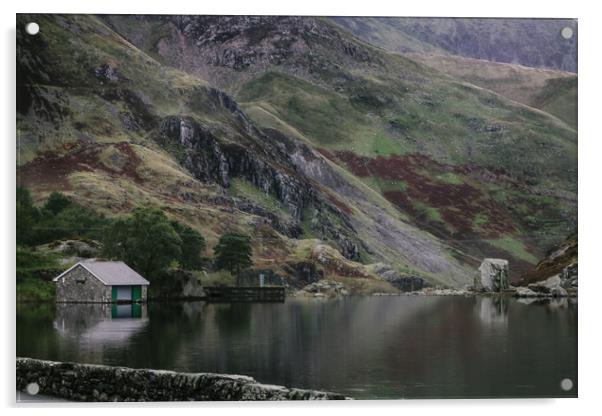The house across the lake Acrylic by Kieran Bellis