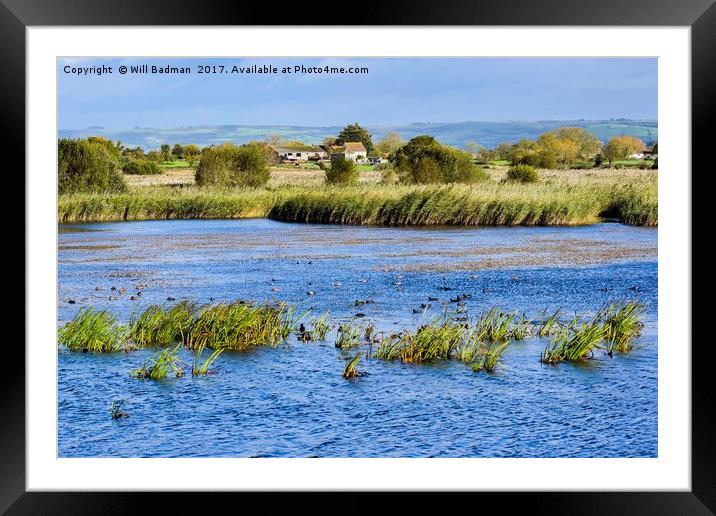 Looking out the hide at Ham Wall nature reserve Framed Mounted Print by Will Badman