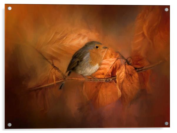 Autumnal Robin Acrylic by Chantal Cooper