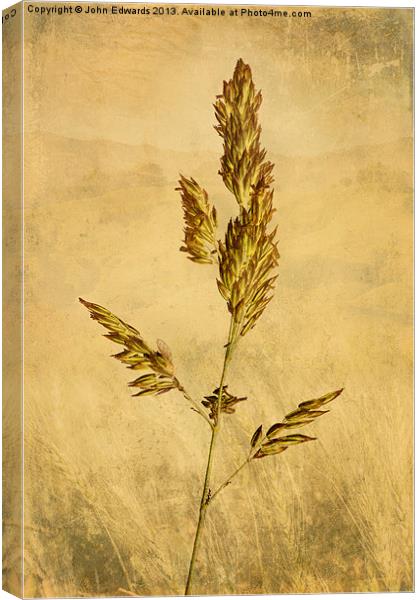 Meadow Grass Canvas Print by John Edwards