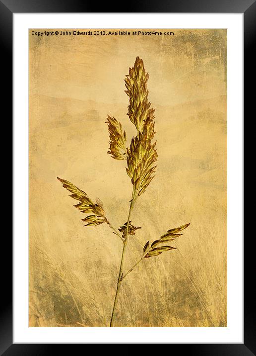 Meadow Grass Framed Mounted Print by John Edwards